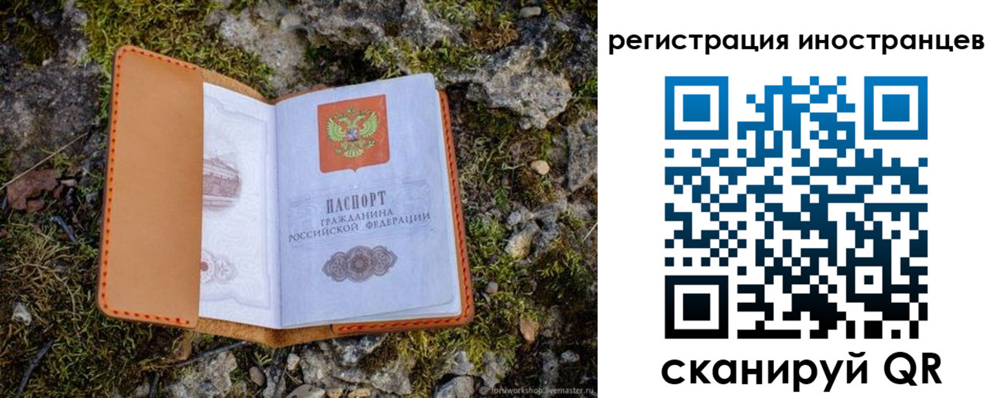прописка паспорт в Вологде